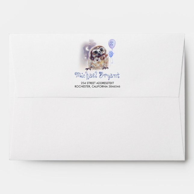 Cute Little Owl Themed Boys Birthday Envelope (Back (Top Flap))
