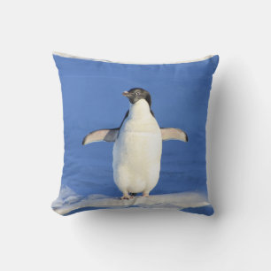 Cute Little Penguin Standing on the Ice Cushion