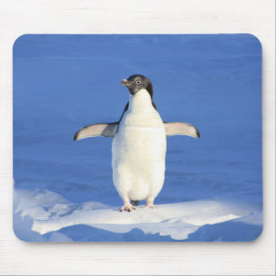 Cute Little Penguin Standing on the Ice Mouse Mat