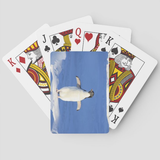 Cute Little Penguin Standing on the Ice Playing Cards (Back)