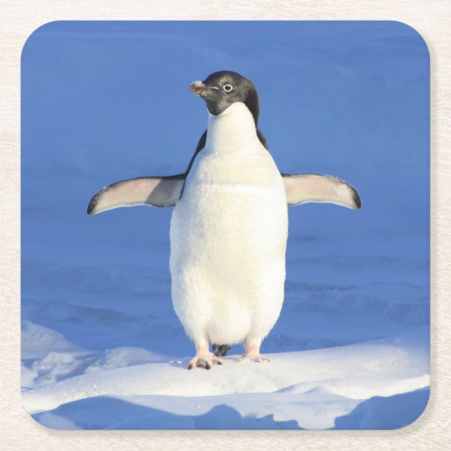 Cute Little Penguin Standing on the Ice Square Paper Coaster (Front)