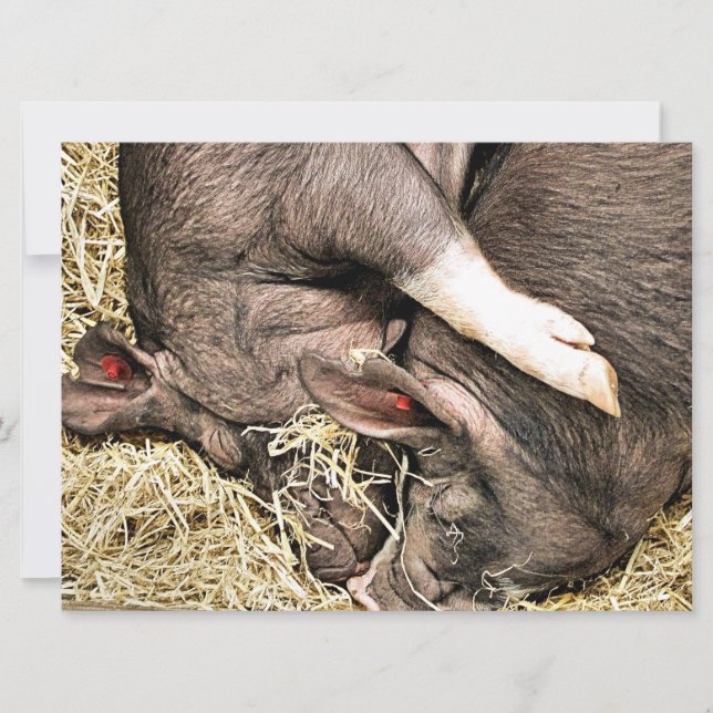 CUTE LITTLE PIGS invitation (Front)