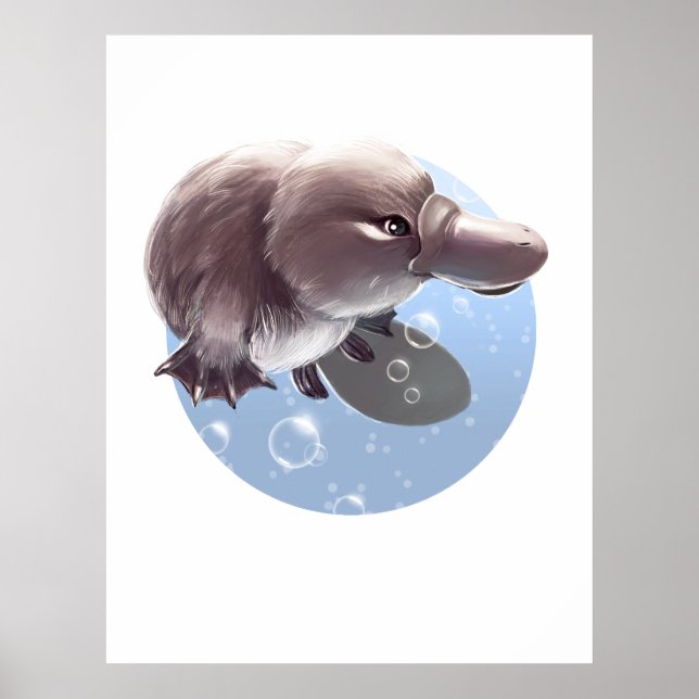 Cute Little Platypus Illustrated Print Poster (Front)