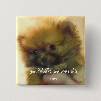 cute little pomeranian 15 cm square badge