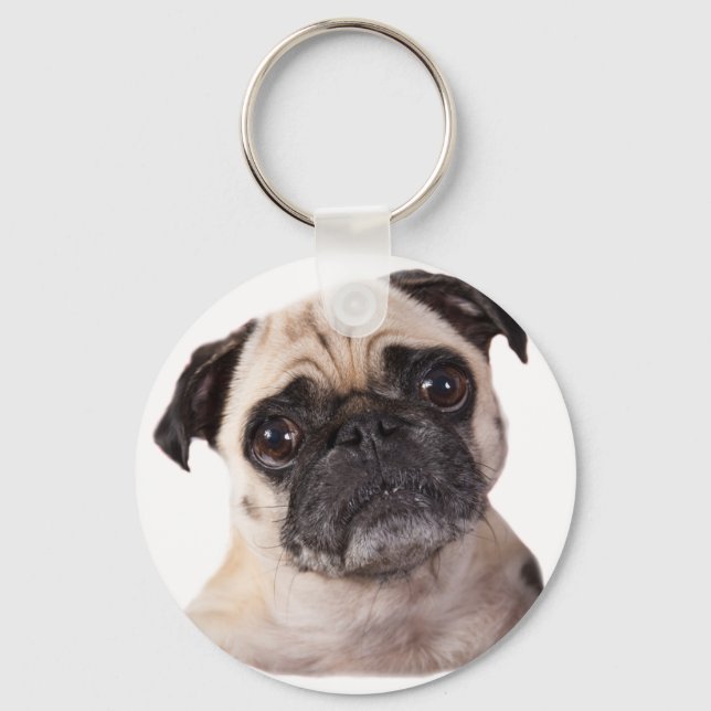 cute little pug dog key ring (Front)