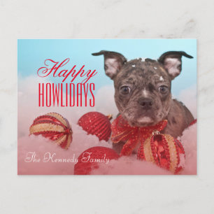 Cute Little Puppy Postcard