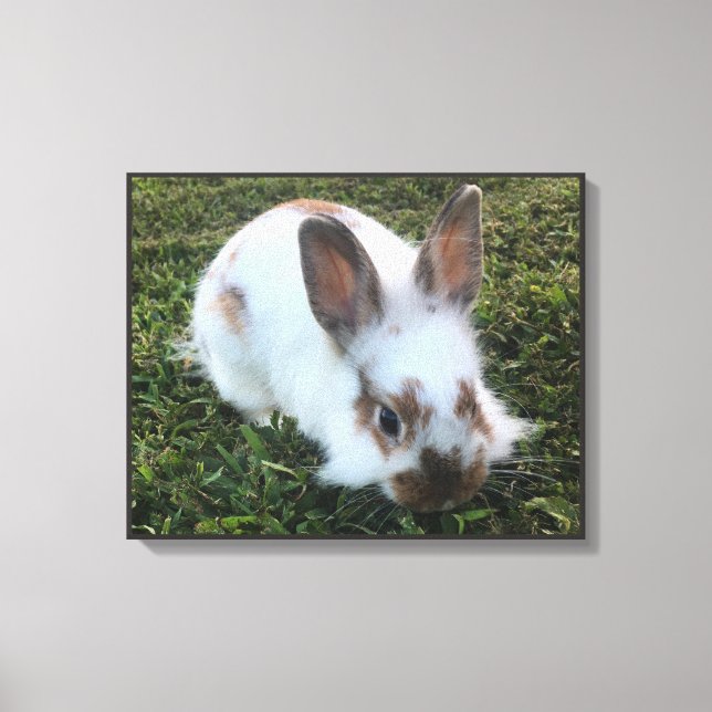 Cute Little Rabbit in the Grass Canvas Print (Front)