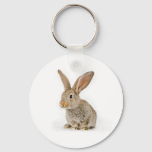 Cute little rabbit key ring