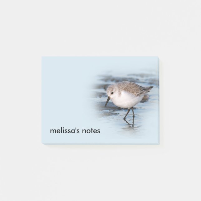 Cute Little Sanderling at the Beach Post-it Notes (Front)