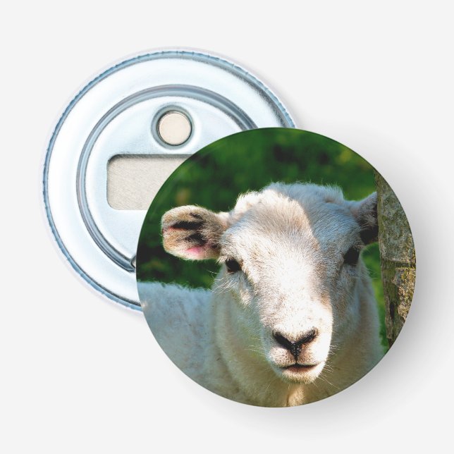 CUTE LITTLE SHEEP BOTTLE OPENER (Front)