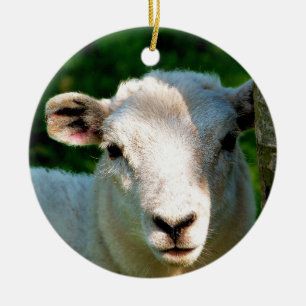 CUTE LITTLE SHEEP CERAMIC TREE DECORATION