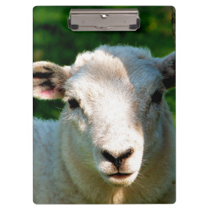CUTE LITTLE SHEEP CLIPBOARD