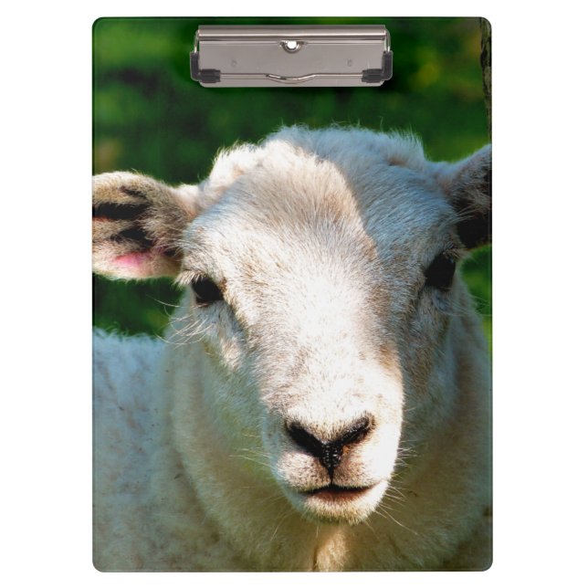 CUTE LITTLE SHEEP CLIPBOARD (Front)