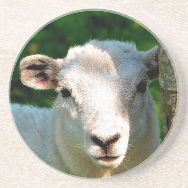 CUTE LITTLE SHEEP COASTER (Front)