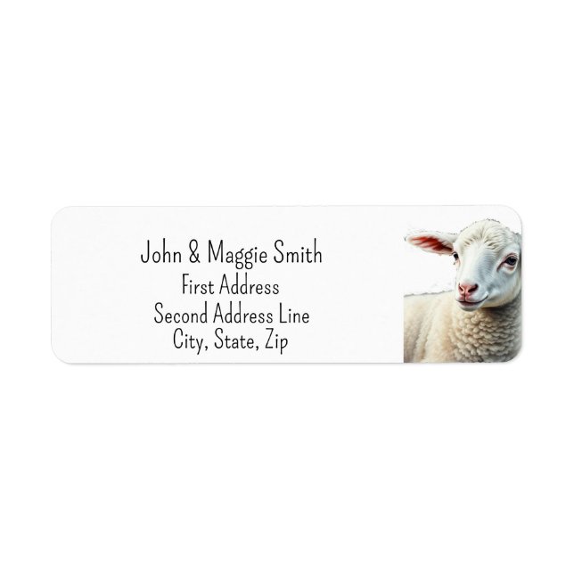 Cute Little Sheep Lamb Farm Animal Art (Front)