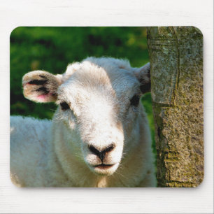 CUTE LITTLE SHEEP MOUSE MAT