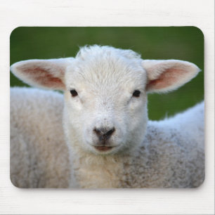 Cute little Sheep Mouse Mat