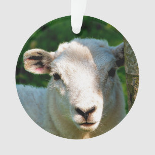 CUTE LITTLE SHEEP ORNAMENT