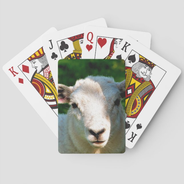 CUTE LITTLE SHEEP PLAYING CARDS (Back)