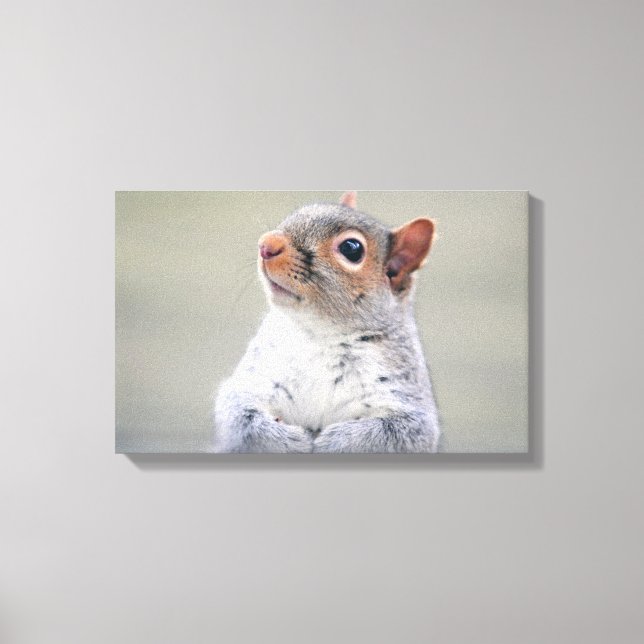 Cute Little Soft and Fluffy Grey Squirrel Canvas Print (Front)