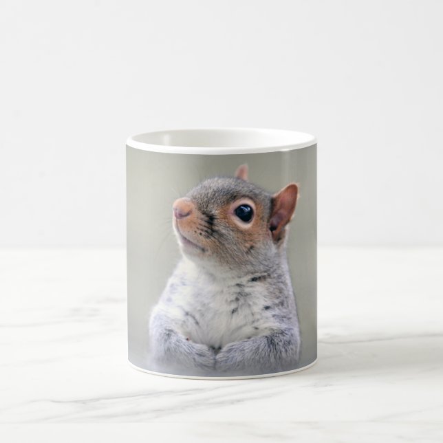 Cute Little Soft and Fluffy Grey Squirrel Coffee Mug (Center)