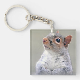 Cute Little Soft and Fluffy Grey Squirrel Key Ring
