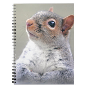 Cute Little Soft and Fluffy Grey Squirrel Notebook