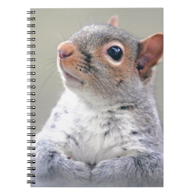 Cute Little Soft and Fluffy Grey Squirrel Notebook (Front)