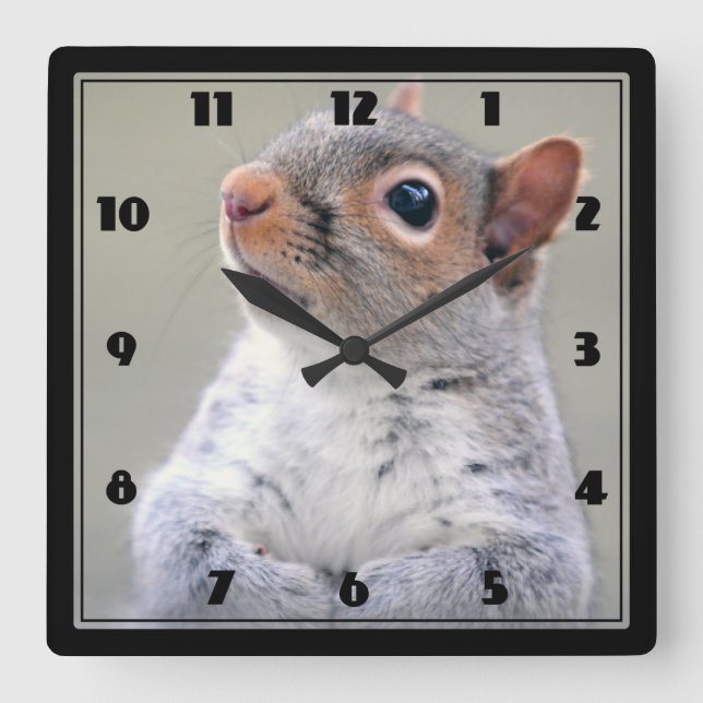 Cute Little Soft and Fluffy Grey Squirrel Square Wall Clock (Front)