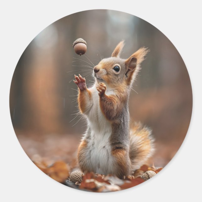 Cute little squirrel catching an acorn classic round sticker (Front)