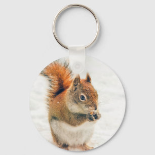 Cute Little Squirrel Eating Nuts Key Ring