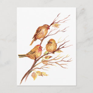 Cute Little Watercolor Sparrow Garden Birds Postcard