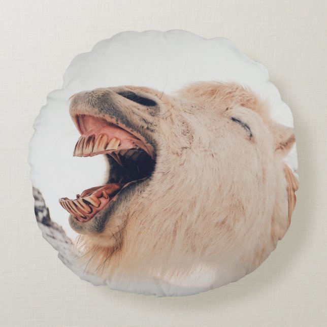 CUTE LLAMA ALPACA LAUGHING ROUND CUSHION (Front)