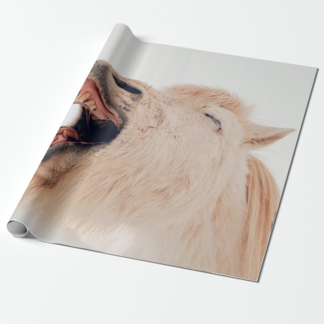 CUTE LLAMA ALPACA LAUGHING WRAPPING PAPER (Unrolled)