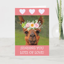 Cute Llama And Hearts Get Well