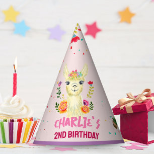 Cute Llama Animal Birthday Party Colourful Mexican Hat