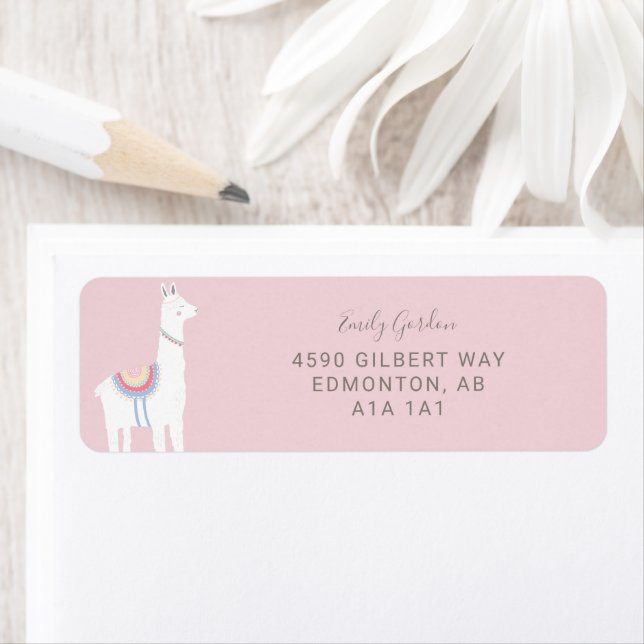 Cute Llama baby shower girl pink and brown (Insitu)