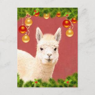 Cute Llama Christmas Holiday Postcard