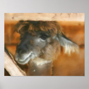 Cute Llama Face Farm Animal Art Poster