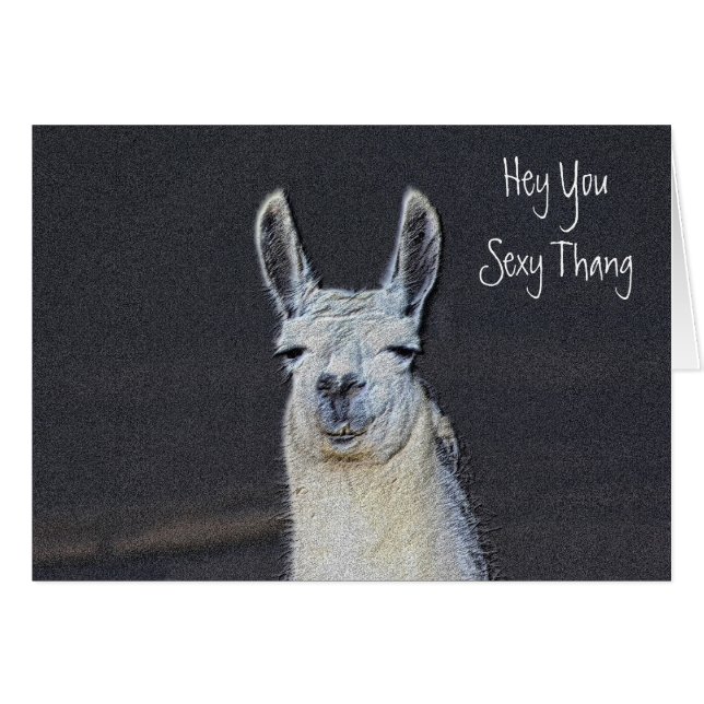 Cute Llama Face Humourous Birthday (Front Horizontal)