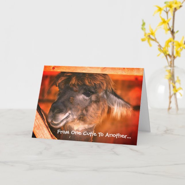 Cute Llama Humourous Animal Birthday  Card (Yellow Flower)