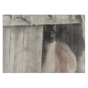 Cute Llama In Barn In Black And White Cutting Board
