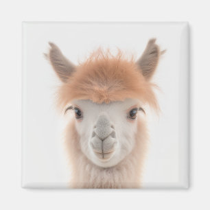 Cute Llama Magnet (Alpaca)   Collectable
