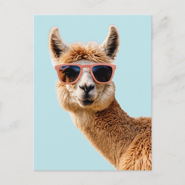 Cute Lllama With Sunglasses On Postcard (Front)