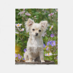 Cute long-haired Chihuahua Dog Puppy Photo - comfy Fleece Blanket