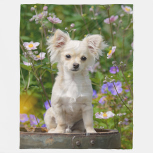 Cute long-haired Chihuahua Dog Puppy Photo - Fleece Blanket