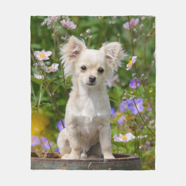 Cute long-haired Chihuahua Dog Puppy Photo - soft Fleece Blanket (Front)
