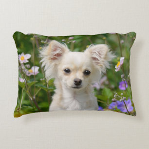 Cute long-haired Chihuahua Dog Puppy Photo - Throw Decorative Cushion