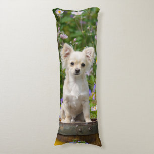 Cute long-haired cream Chihuahua Dog Puppy  cuddly Body Cushion