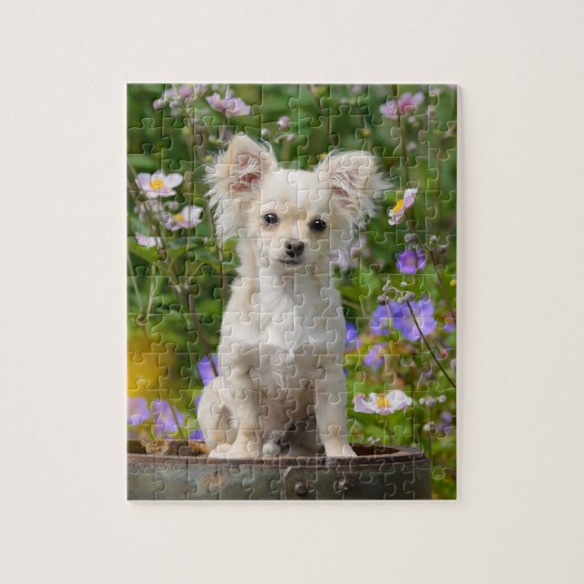 Cute long-haired cream Chihuahua Dog Puppy - Game Jigsaw Puzzle (Vertical)